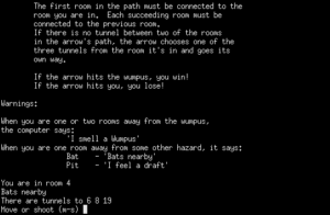 16266364-wumpus-mainframe-starting-the-game-after-reading-the-instruction