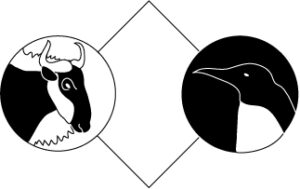 logo-36